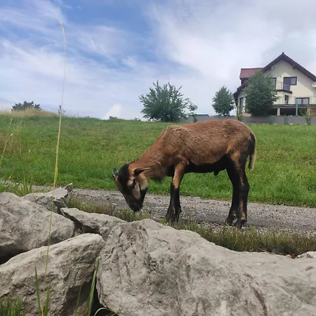 Gorska Sielanka Σπίτι διακοπών