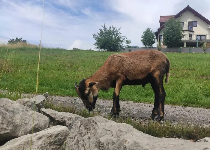 Gorska Sielanka בית נופש