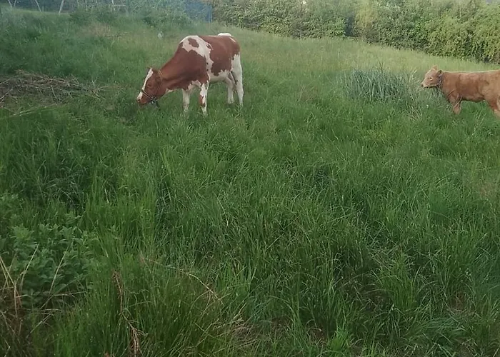 בית נופש Gorska Sielanka